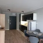 Rent 2 bedroom apartment of 36 m² in Opole Kolonia Gosławicka - okolice Witosa