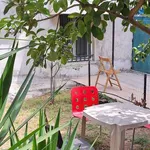 Rent 2 bedroom apartment of 45 m² in rome