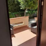 Rent 3 bedroom house of 90 m² in Roma