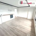 Rent 2 bedroom apartment in Děčín