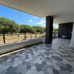 Rent 2 bedroom apartment of 58 m² in Roma