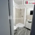 Rent 1 bedroom apartment of 18 m² in Kačice