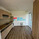 Rent 1 bedroom apartment in Ostrava