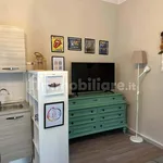 Rent 2 bedroom apartment of 55 m² in Lucca