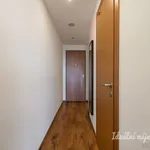 Rent 1 bedroom apartment in Praha 4