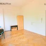 Pronájem bytu 1+kk 24m²