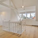 Havelaarstraat, Velp - Amsterdam Apartments for Rent