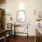 Rent 2 bedroom apartment of 50 m² in Firenze