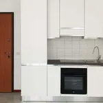 Rent 4 bedroom apartment of 60 m² in Milan