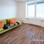 Rent 1 bedroom apartment of 30 m² in Brno