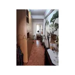 Rent 1 bedroom apartment in Coimbra