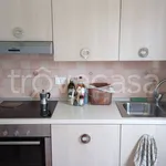 Rent 3 bedroom apartment of 115 m² in Carbonera