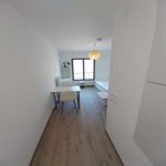 Appartement de 17 m² avec 1 chambre(s) en location à Lyon