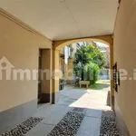 Rent 3 bedroom apartment of 68 m² in Turin