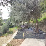 Single family villa via Ottone I 89, Fenarina, Via Neghelli, Collina di Ponente, Alassio