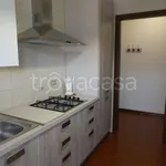 Rent 4 bedroom apartment of 80 m² in Ferrara