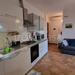 Rent 2 bedroom apartment of 40 m² in Potenza Picena