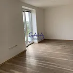 Rent 1 bedroom apartment in Břeclav