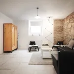 Rent 1 bedroom apartment of 82 m² in Prague