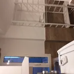 Rent 3 bedroom apartment in Bologna