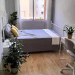 Rent a room of 90 m² in alicante