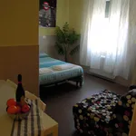 Rent 1 bedroom apartment in Bologna