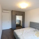 Rent 2 bedroom apartment in Capital City of Prague