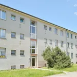 Rent 2 bedroom apartment of 50 m² in Berlin