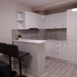 Rent 2 bedroom apartment of 65 m² in Каменица 1