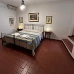 Rent 4 bedroom apartment of 90 m² in FIRENZE