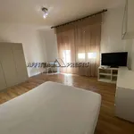 Rent 4 bedroom apartment of 120 m² in Forlì