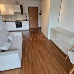 Rent 1 bedroom apartment of 47 m² in Cernusco sul Naviglio