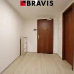 Rent 1 bedroom apartment of 50 m² in Brno