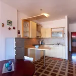 Rent 3 bedroom apartment of 65 m² in Follonica