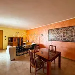 Rent 3 bedroom apartment of 103 m² in Casamassima