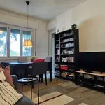 Rent 2 bedroom apartment of 60 m² in Monza