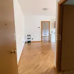 Rent 4 bedroom apartment of 90 m² in Padova