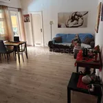 Rent 2 bedroom apartment of 50 m² in Roma