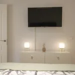 Rent 1 bedroom apartment in madrid