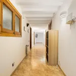 Alquilar 5 dormitorio apartamento en Barcelona