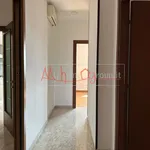 Rent 1 bedroom apartment of 110 m² in padova