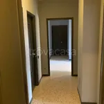 Rent 3 bedroom apartment of 100 m² in Somma Lombardo