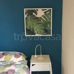 Rent 2 bedroom apartment of 70 m² in Torino