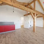 Rent 1 bedroom apartment of 47 m² in Studeněves