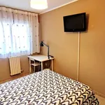 Rent a room in zaragoza