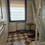 Rent 2 bedroom apartment of 150 m² in padova