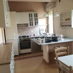 Rent 5 bedroom apartment of 115 m² in Lucca