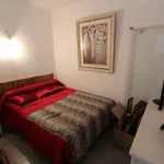 Rent 1 bedroom apartment in Bastia - 20600 