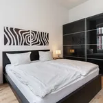 Rent 1 bedroom apartment of 50 m² in Dusseldorf