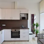 Rent 1 bedroom apartment of 40 m² in Brno